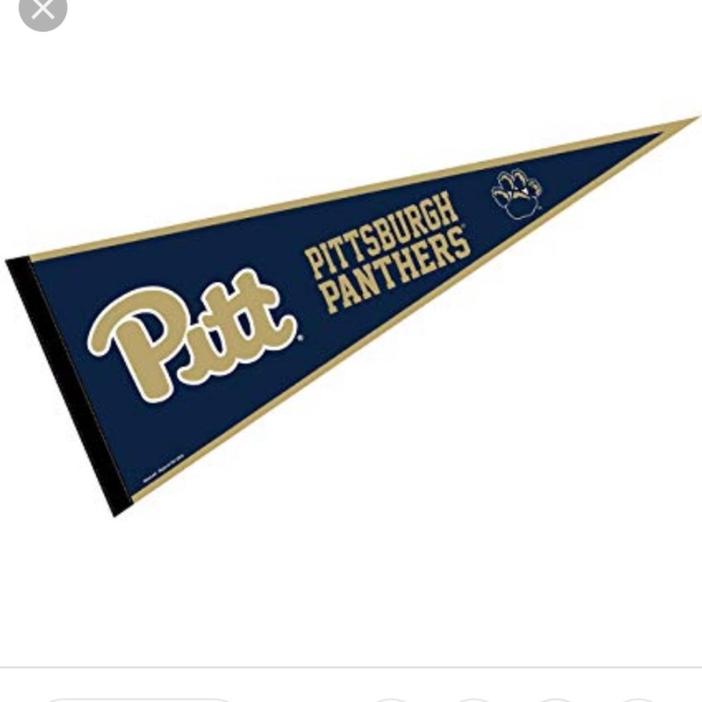 Pitt Pennant Banner
